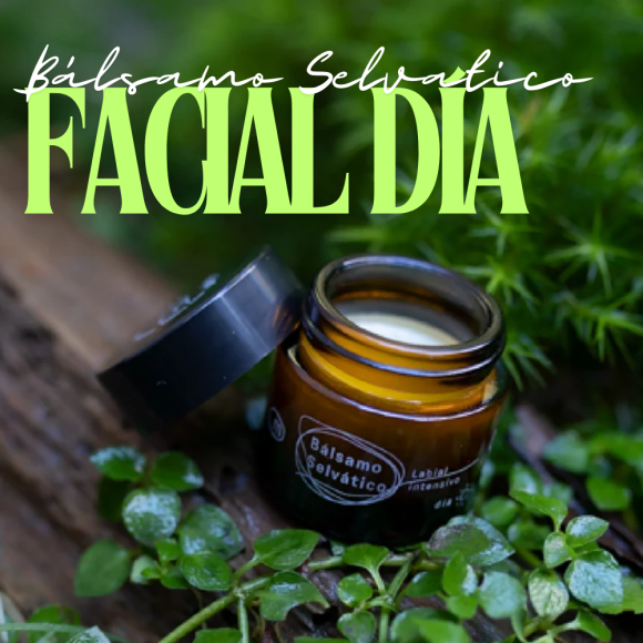 Bálsamo Húmedo Facial Día